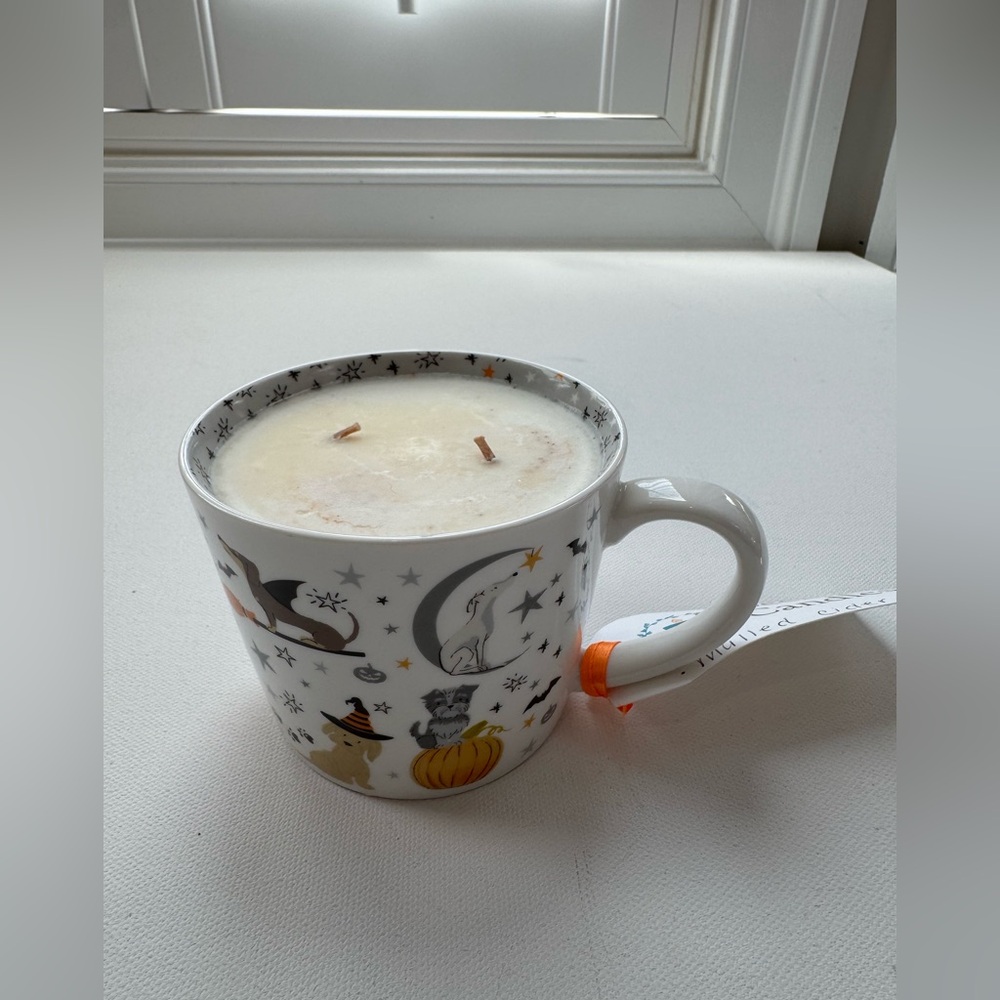 Brand new handmade mulled cider candle in mug with silicone topper $28